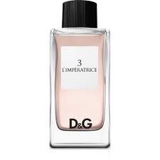 Dolce & Gabbana d&G Polo Homme Feminino 100ml